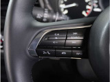【ステアリングスイッチ】運転中、前方から目線をそらすことなく、オーディオ等の操作が可能な便利機能。安心&快適ドライブにはマストな装備。
