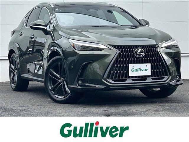NX 250 バージョンL 4WD 4WD 本革シート