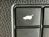 テールゲートが電動で開閉でき、荷物などで両手がふさがっているときなど便利に使えます