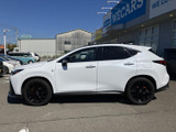 NX 350h Fスポーツ 
