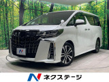 両側電動ドア 純正10型ナビ 後席モニター バックカメラ 衝突被害軽減