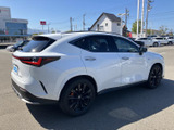NX 350h Fスポーツ 