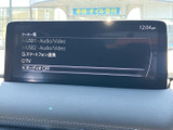 鮮やかな映像を大画面で楽しめます。車内でのエンターテイメントを充実させる、便利な機能です。