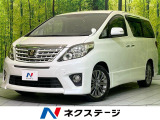 両側電動スライド パワーバックドア AC100V電源 ハーフレザーシート