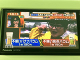停車時に、テレビ視聴が楽しめる機能も搭載。休憩時間などに、ちょっとしたエンターテイメントをお楽しみいただけます。
