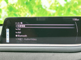 多彩な情報表示で、ナビゲーションやオーディオ操作をスムーズに行うことができます。視認性の高いディスプレイで、運転中の操作も安心です。