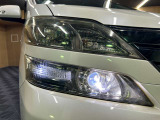 TRENOSには多数、車種様々な在庫がございます。きっとお気に入りの一台に出会えるはずです♪