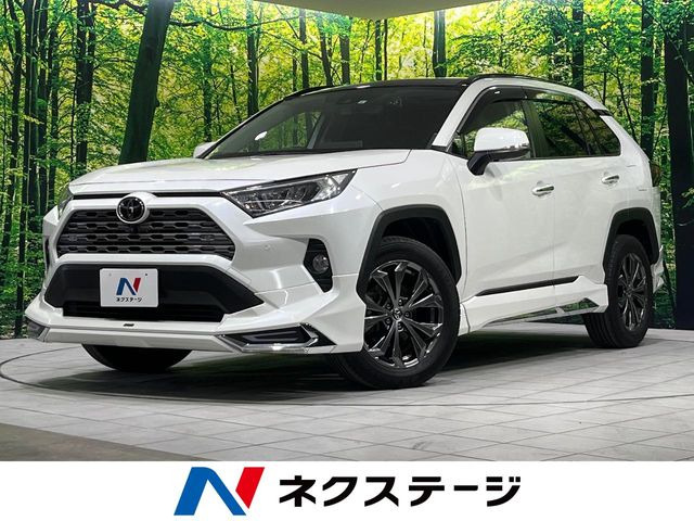 RAV4 2.0 G 4WD