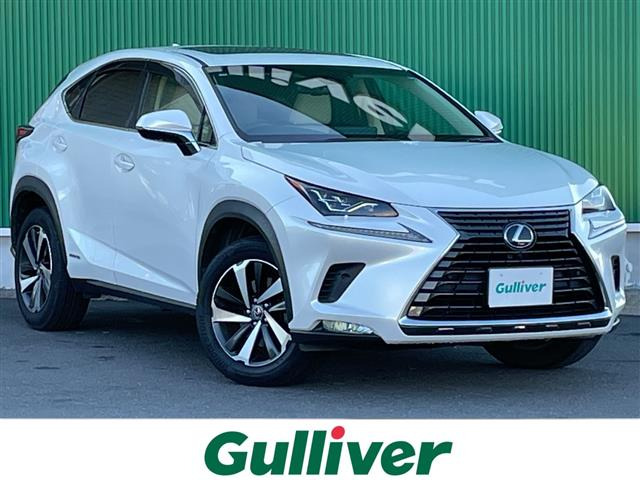 NX 300h バージョンL 本革シート サンルーフ