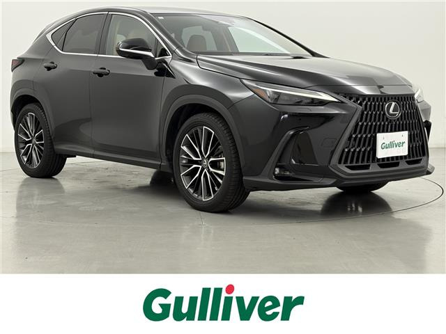 NX 250 バージョンL 本革シート 修復歴無し