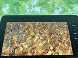 停車時に、お好みの番組や映画を視聴できます。ちょっとした休憩時間に、リラックスした時間を過ごせるでしょう。