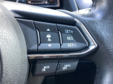 ミリ波レーダーで低速域〜高速域まで、先行車との車間を維持しながら追従走行を可能にします。長距離走行などでドライバーの負担を軽減します。