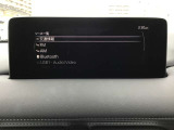 オーディオソースはこのようになっています。
