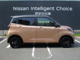 運転席側サイドビュー。