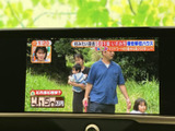 停車時にテレビ番組を視聴できる機能。待ち時間や休憩時間も、快適にお過ごしいただけます。