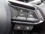 ステアリングスイッチで、先行車に自動追従するアダプティブクルーズコントロールが作動可能。設定した車速内での車間距離を自動で調整・維持。高速道路の渋滞時もアクセル・ブレーキ操作から解放されます。
