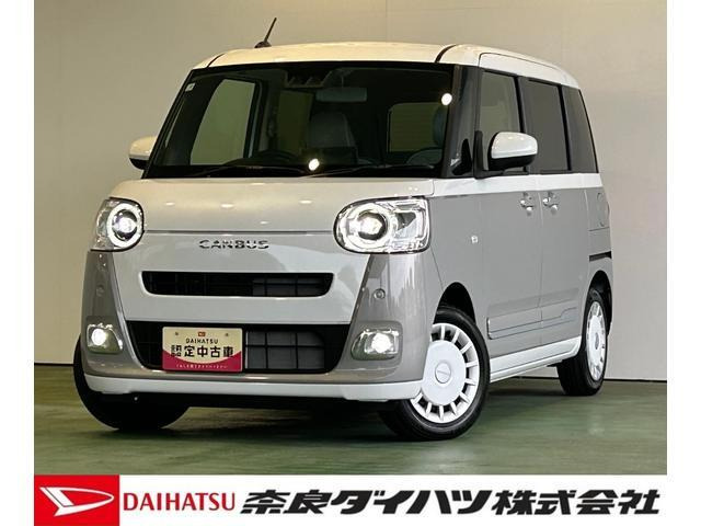 ムーヴキャンバス  ストライプス G