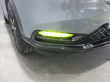 フォグはイエローのLEDを装着!