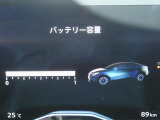 セグメントは12セグメントご利用できます。