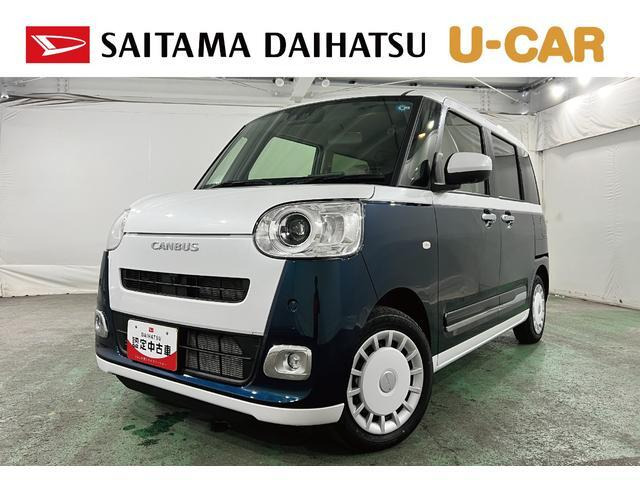 ムーヴキャンバス  ストライプス G