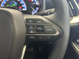 前方の車との車間を設定し、スピードを上げたり緩めたりを自動で行ってくれる追尾式の「レーダークルーズ」。上級装備の一つです!高級車にしかつかない嬉しい機能です。