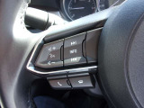 オーディオの音量やチャンネル操作ができるスイッチが、ハンドルに付いています。運転中でも、操作が行えて非常に安全・便利です!