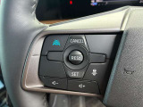 プロパイロットが高速の運転操作を軽減し、遠出の疲れを軽減します