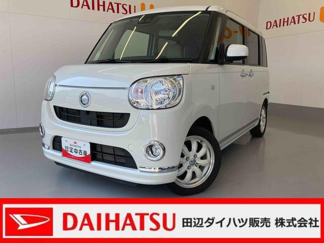 ムーヴキャンバス X リミテッド メイクアップ SAIII 