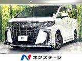 モデリスタエアロ 9型ナビ 後席モニター バックカメラ