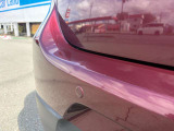 ダメージにつきましては現車にてご確認をお願いいたします。修復についてはご相談下さい。