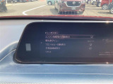 ビューモニターの設定画面です。色々試してください。