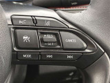 前方の車との車間を設定し、スピードを上げたり緩めたりを自動で行ってくれる追尾式の「レーダークルーズ」。上級装備の一つです!高級車にしかつかない嬉しい機能です。