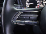 【ステアリングスイッチ】運転中、前方から目線をそらすことなく、オーディオ等の操作が可能な便利機能。安心&快適ドライブにはマストな装備。