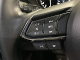 オーディオリモートコントロールスイッチにより、手元でのステレオ操作や、ハンズフリー通話が楽しめます。