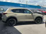 ドアバイザーも装着!