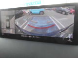 360℃ビューカメラ付きの一台です。