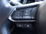 【ステアリングスイッチ】ステアリングスイッチは運転姿勢や視線を崩さずに操作が可能です。左側にはオーディオ類があります。