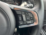 アクティブクルーズなのでそして外車は速度域が自由なのであると便利な機能の1つです。