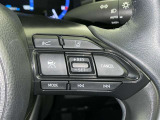 クルーズコントロール機能が付いています。 速度を設定するとアクセルを踏まなくても一定の速度で走ることができます。  高速道路ではとても便利な装置なんです。