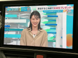 テレビ番組を画面で視聴できる装備です。停車中の休憩時間などに映像を楽しめるため、車内で過ごすひとときの選択肢が広がります。視聴の際は停車してご利用ください。
