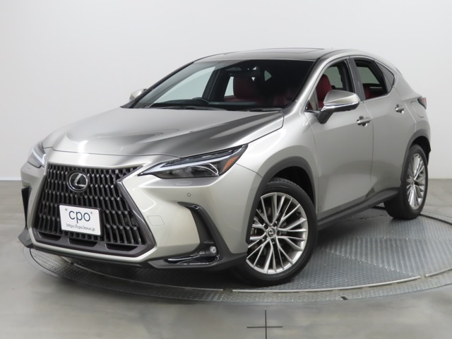 NX 250 バージョンL NX 250 バージョンL