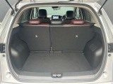 バックドアは大きく開きます。定員乗車時でも十分広いラゲッジスペースを確保しています。