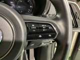 ミリ波レーダーで低速域〜高速域まで、先行車との車間を維持しながら追従走行を可能にします。長距離走行などでドライバーの負担を軽減します。