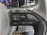 ステアリングスイッチ付き。前方から目を離すことなく操作することが可能です。