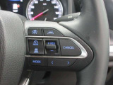 レーダークルーズコントロール(全車速追従機能付)付きです。車速に応じて追従支援してくれるので、ロングドライブも快適です。詳細は販売店スタッフまでおたずねください。