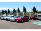 当店はNTPグループ全社の下取車・買取車の中からトヨタ・レクサスブランドなど認定中古車から外れたものの良品中古車を厳選して常に30台程の展示車をご用意しております。