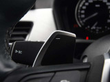 Paddle Shifter