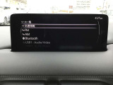 オーディオソースはこのようになっています。