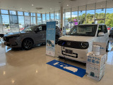 店内にも即納可能な新車を展示中です。