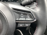 ミリ波レーダーで低速域〜高速域まで、先行車との車間を維持しながら追従走行を可能にします。長距離走行などでドライバーの負担を軽減します。